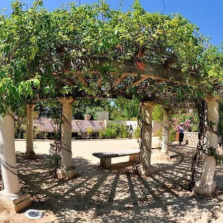 Les Oliviers דירה *